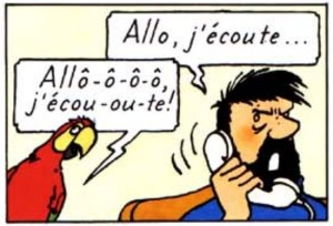 Allo j'écoute perroquet Bijoux de la castafiore