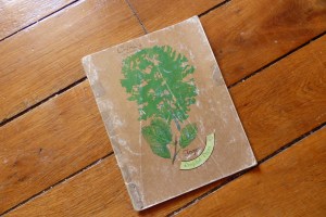 carnet de lectures d'adolescence