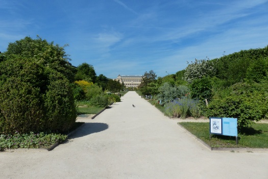 Jardins des Plantes Paris été 2017