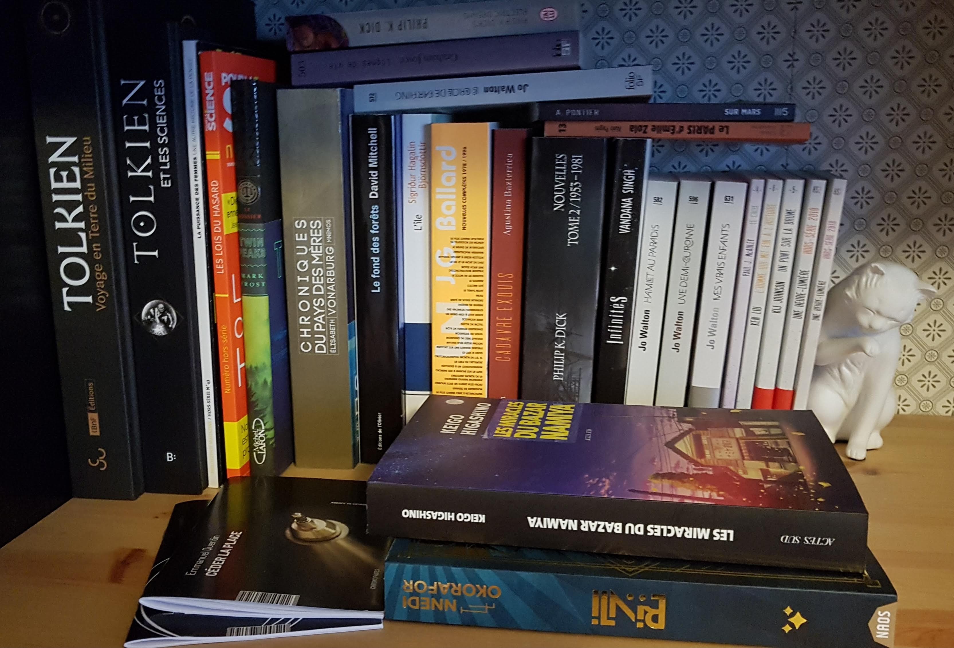 journal de bord janvier 2020